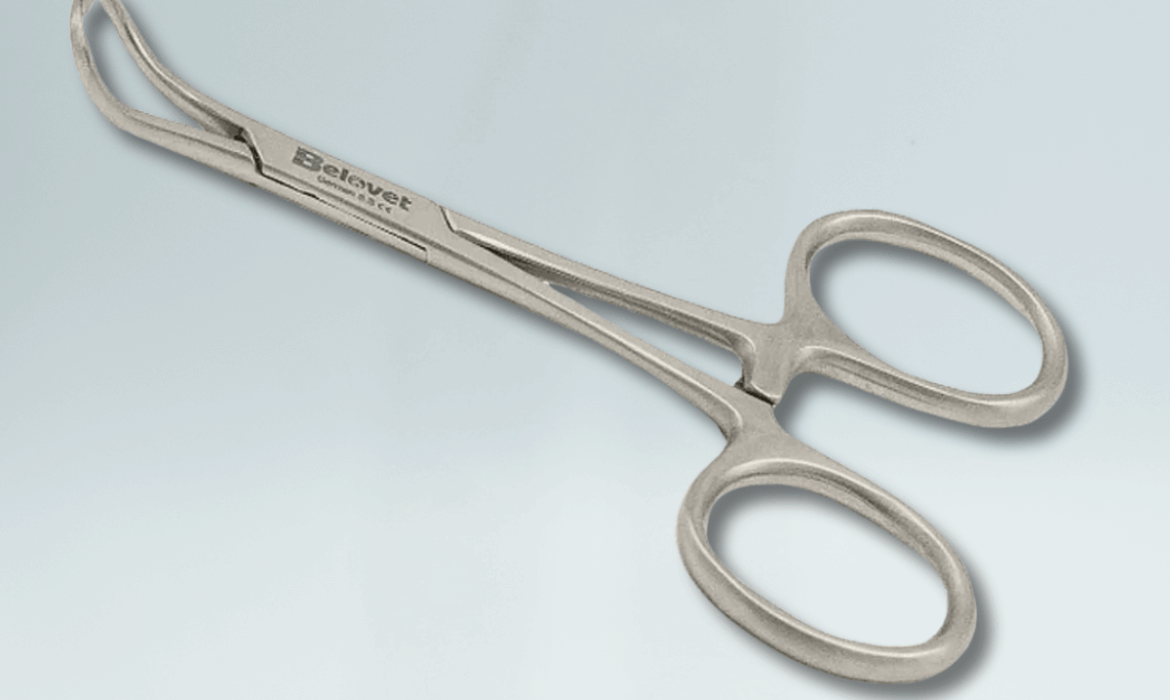 PINZAS DE CAMPO BACKHAUS I JONES I SOCKET