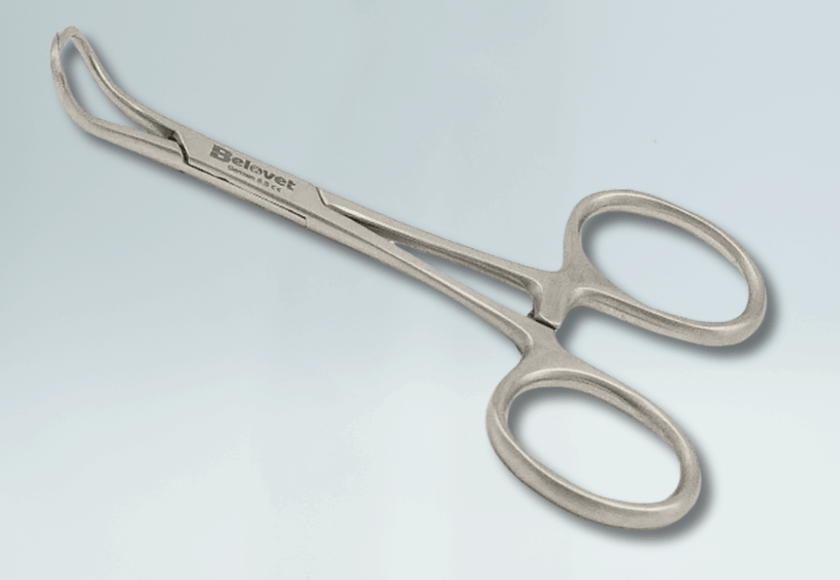 PINZAS DE CAMPO BACKHAUS I JONES I SOCKET