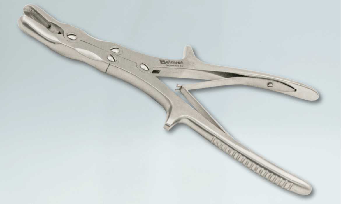 GUBIA ROUNGER 23.5 CM