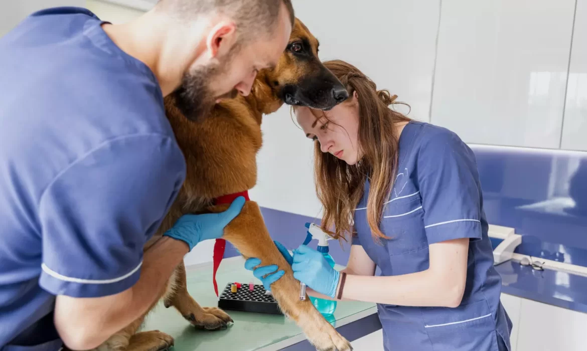 Traumatologia y ortopedia