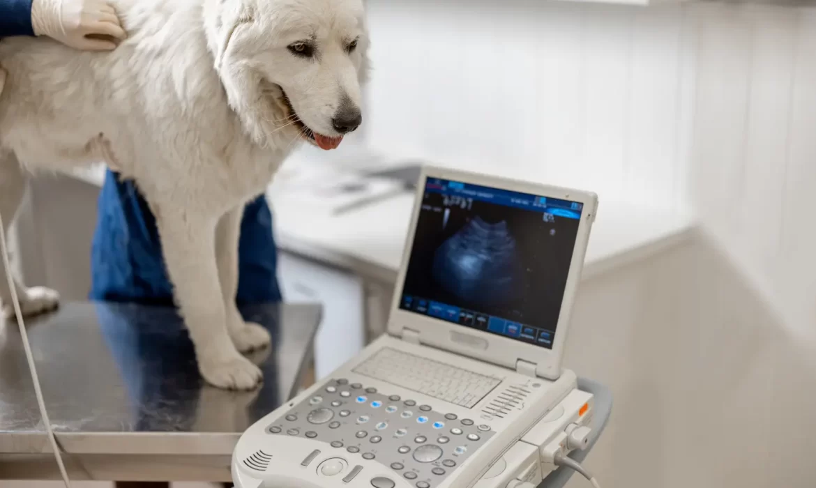 tecnología avanzada para un futuro sin límites