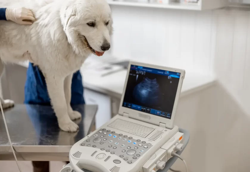 tecnología avanzada para un futuro sin límites