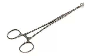 Pinza babcock