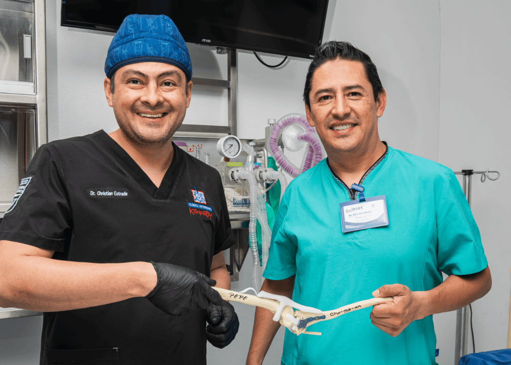 Osteotomías en perros