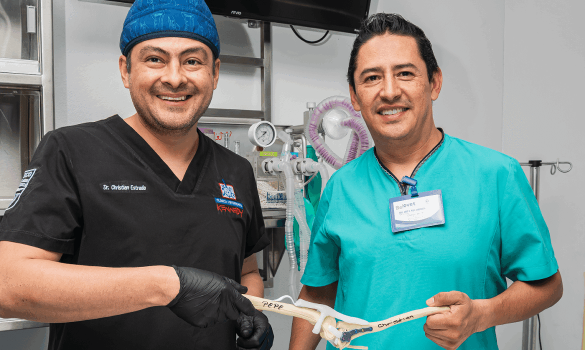 Osteotomías en perros