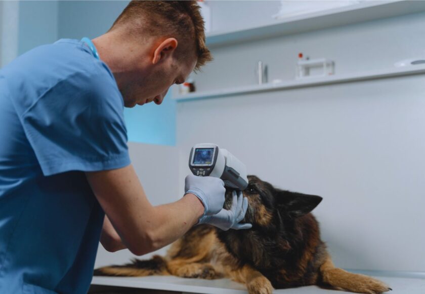 técnicas quirúrgicas oftalmológicas