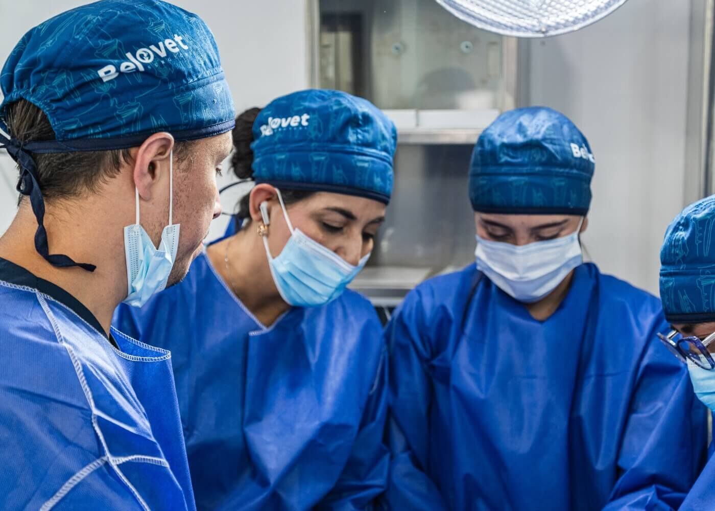 cirugía veterinaria