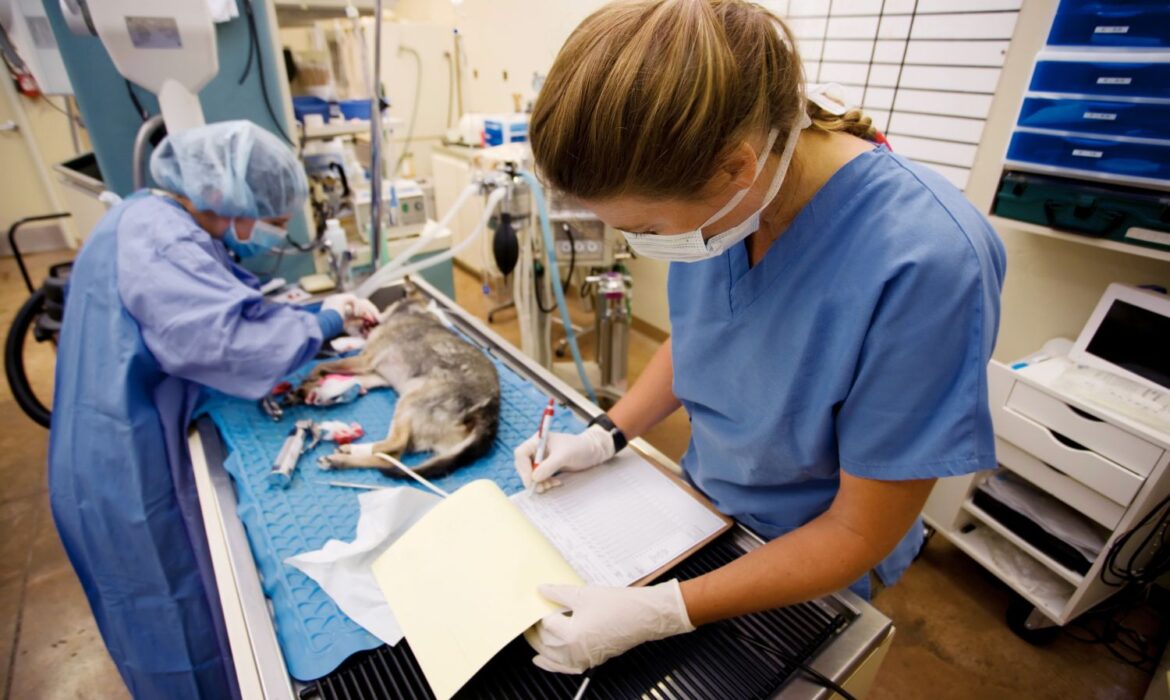 cirugias ortopedicas de alto riesgo