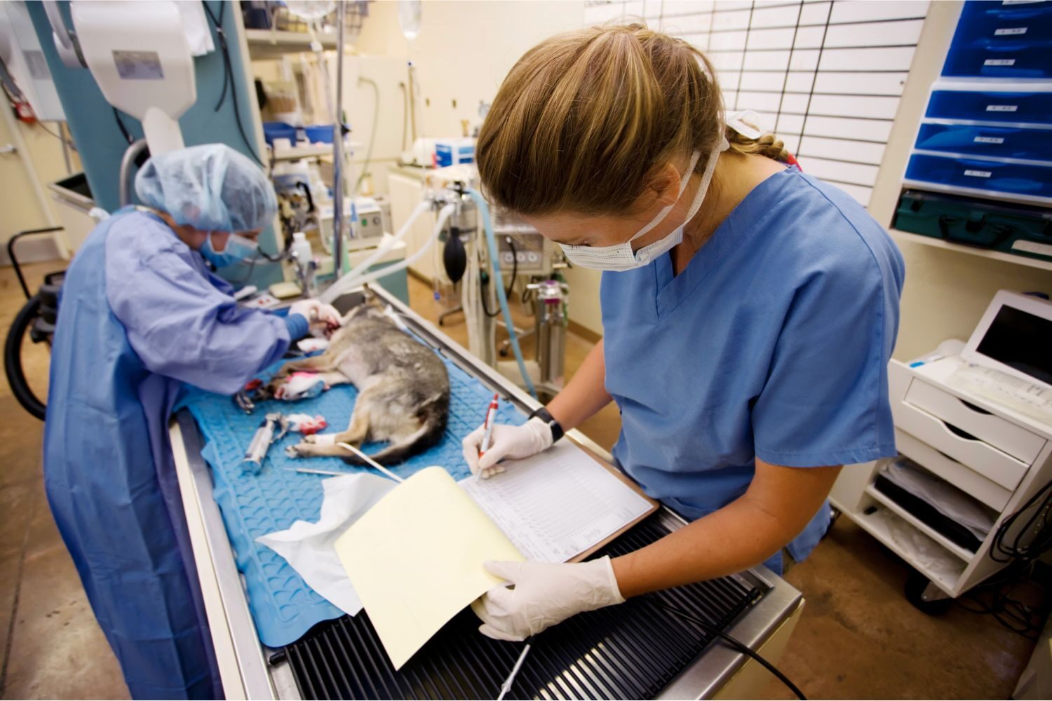 cirugias ortopedicas de alto riesgo