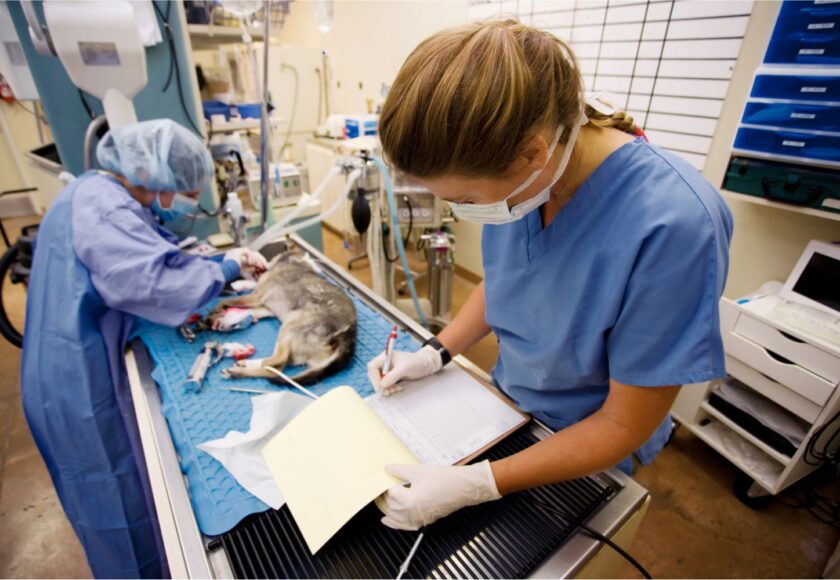 cirugias ortopedicas de alto riesgo