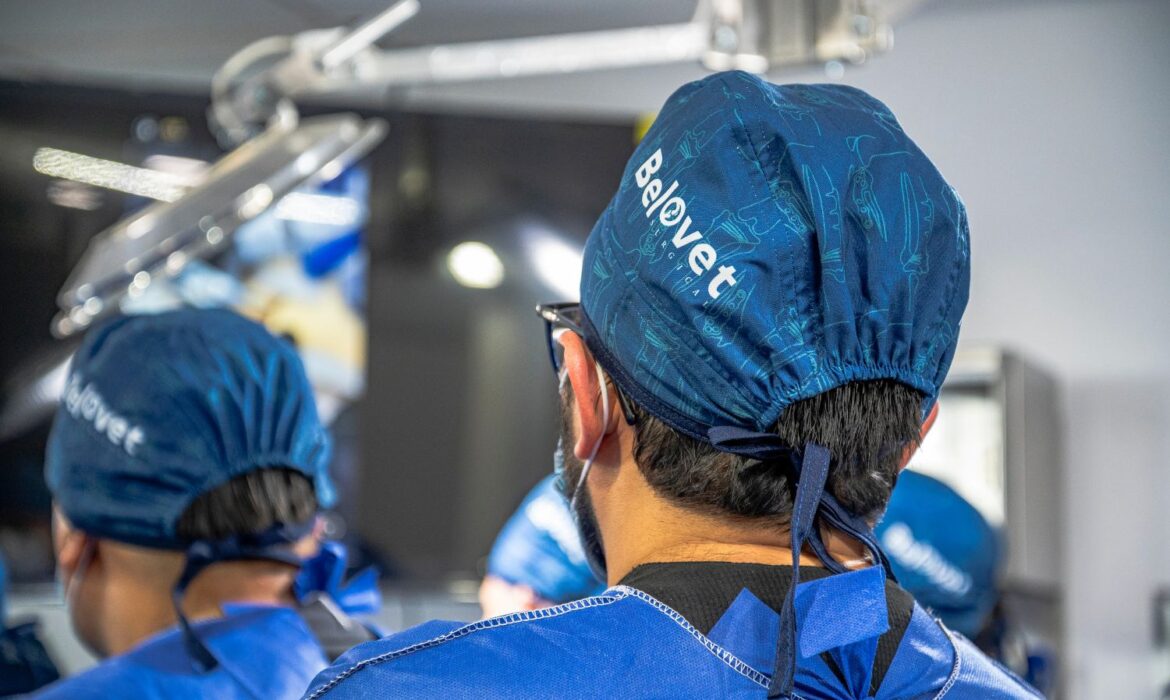 Cirugía gastrointestinal en perros y gatos