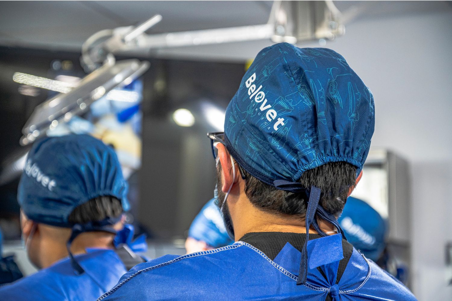 Cirugía gastrointestinal en perros y gatos