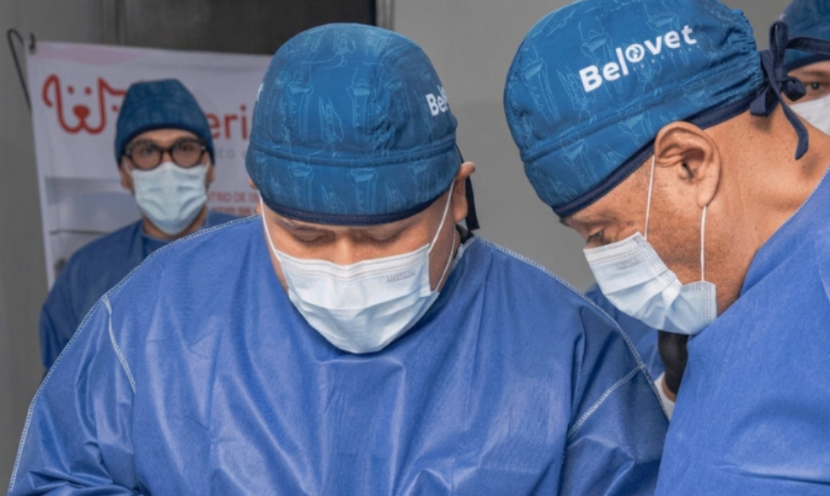 Instrumental quirúrgico en cirugía veterinaria